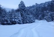 This is the road...