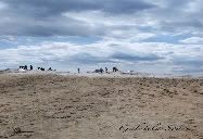 mud volcano