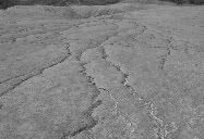 Mud volcano