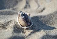 Family in the Sand
