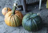 Pumpkin