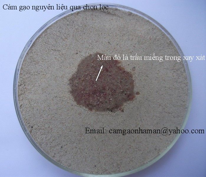 Mặt nạ cám gạo, bột yến mạch, tảo Spirulina sản phẩm tự nhiên (25k/hộp/sd 30 ngày) - 4