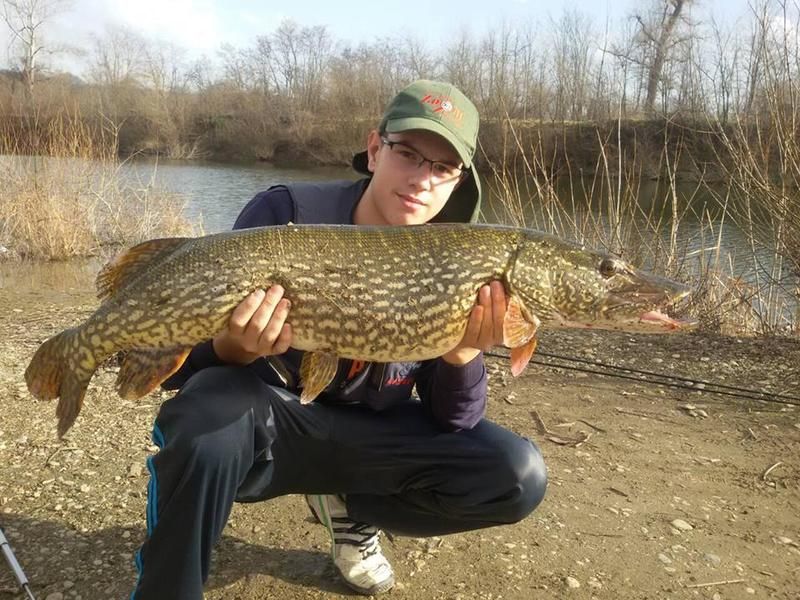 Slika