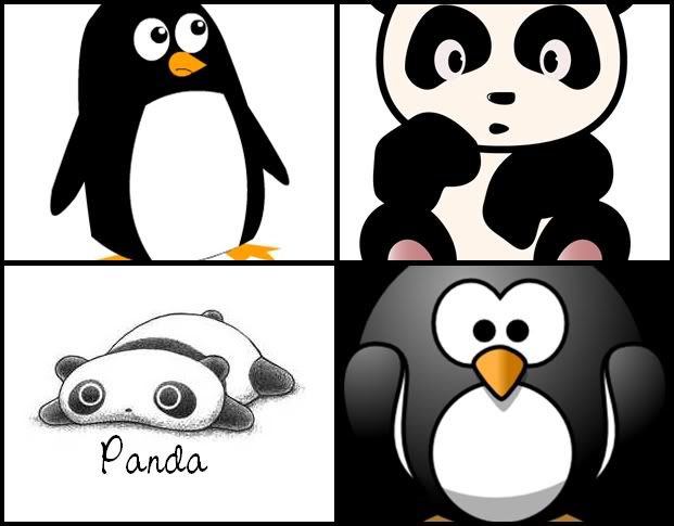 Pandas And Penguins