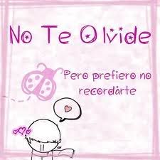 amor amor