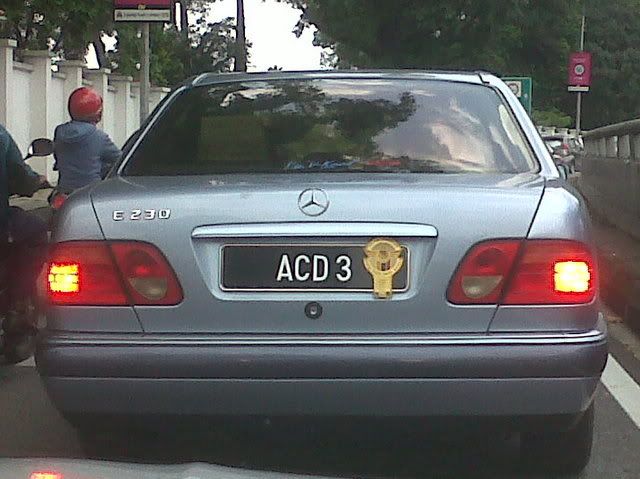 ACD3.jpg