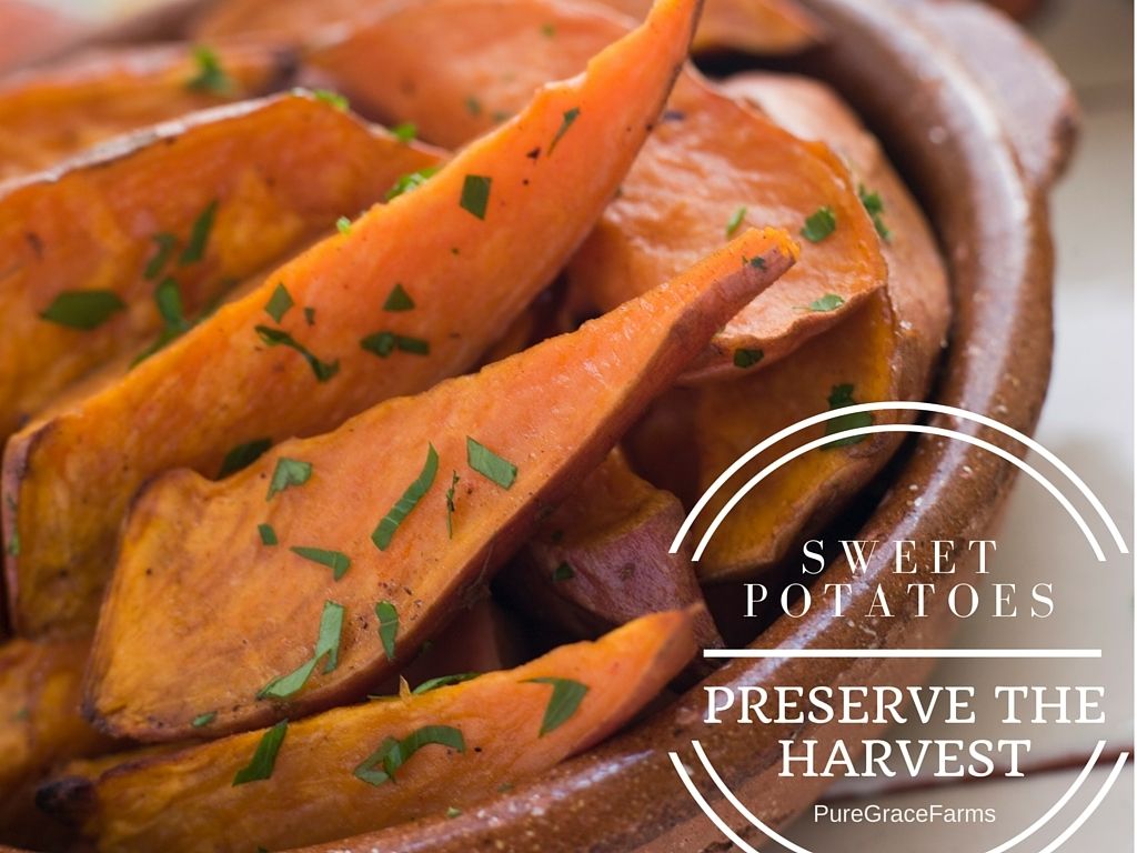 Preserve the Harvest: Let's Talk Sweet Potatoes