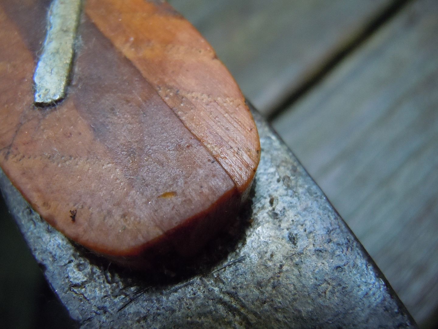 Linseed oil Axe Soak IAWoodsman's technique Pictures Bushcraft USA Forums