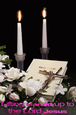 Posted Image