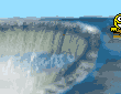 Posted Image