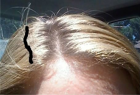 The Long Hair Community Discussion Boards
