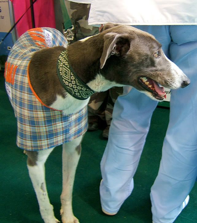 PetExpo201017.jpg