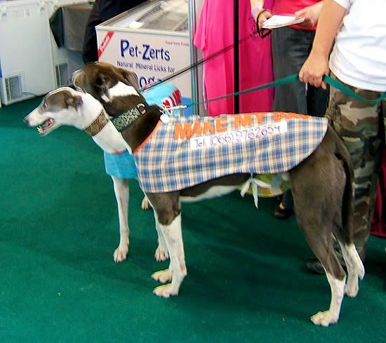 PetExpo201019.jpg