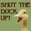 Shut the Duck up Pictures, Images and Photos