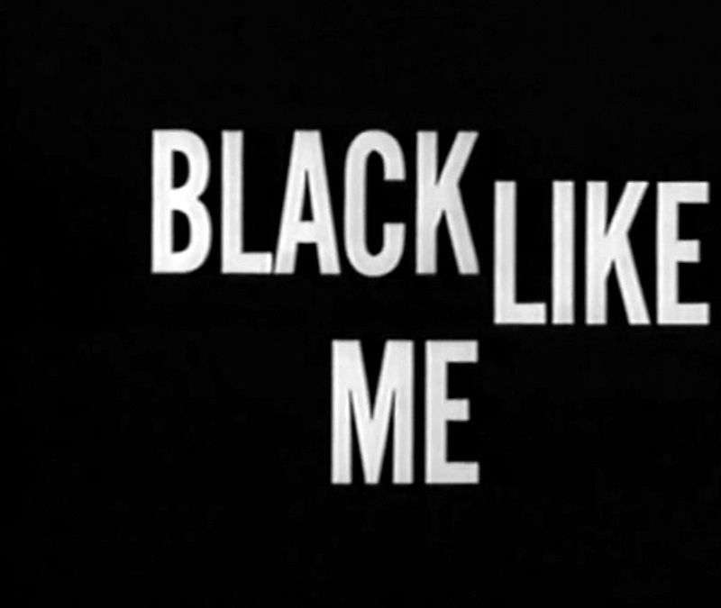 BlackLikeMe1.jpg