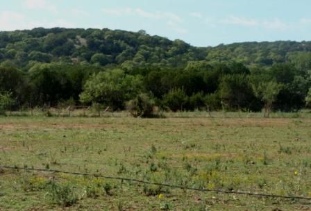 Deer Lease: The Land - Country Singletree