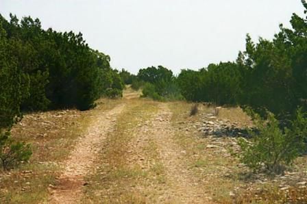 Deer Lease: The Land - Country Singletree