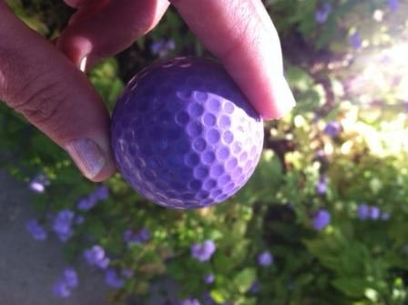 Her B-Day Party Was a Success :) - Country Singletree