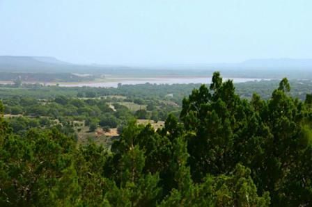 Deer Lease: The Land - Country Singletree