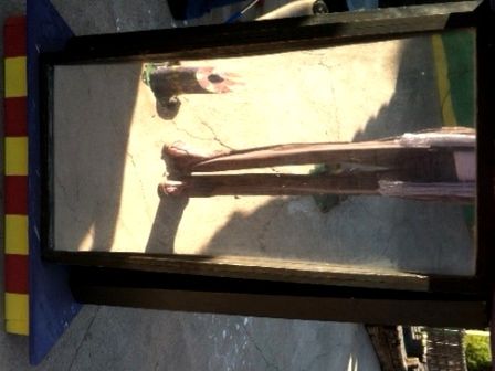 Her B-Day Party Was a Success :) - Country Singletree