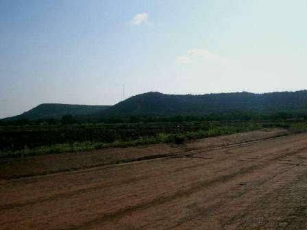 Deer Lease: The Land - Country Singletree