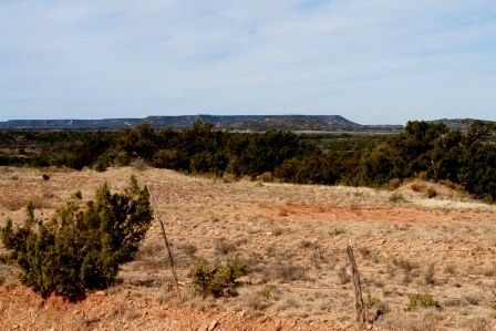 Deer Lease: The Land - Country Singletree