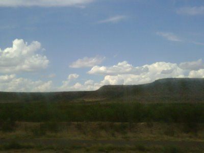 Deer Lease: The Land - Country Singletree