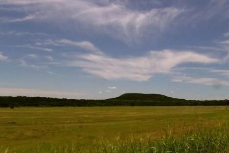 Deer Lease: The Land - Country Singletree