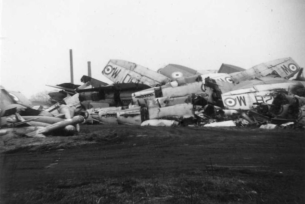  photo img008_zpskieqtk3k.jpg