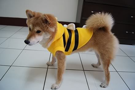 DSC05740.jpg picture by jasper031003