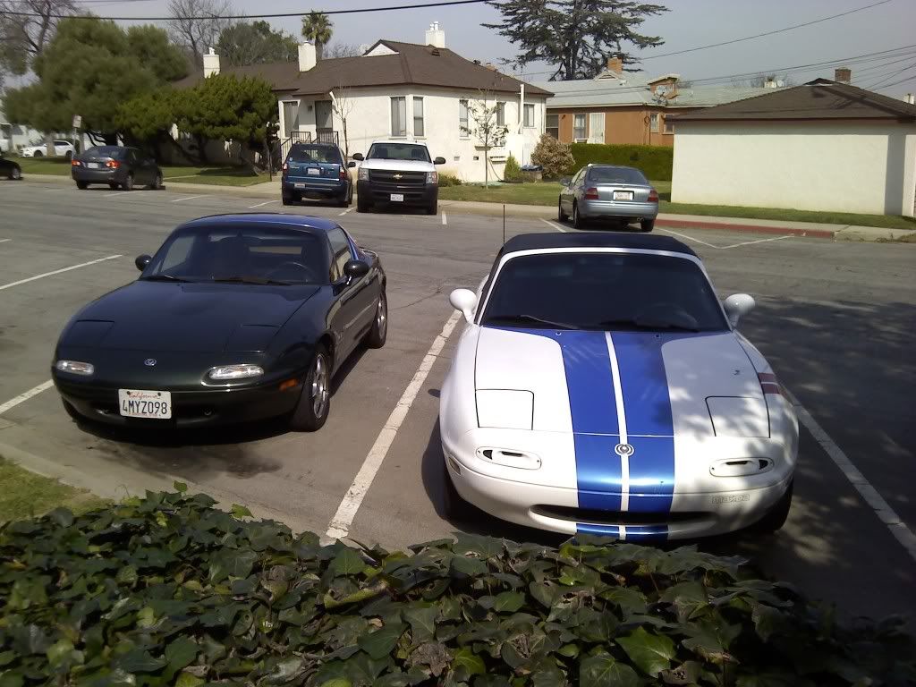 I now have twins! - MX-5 Miata Forum